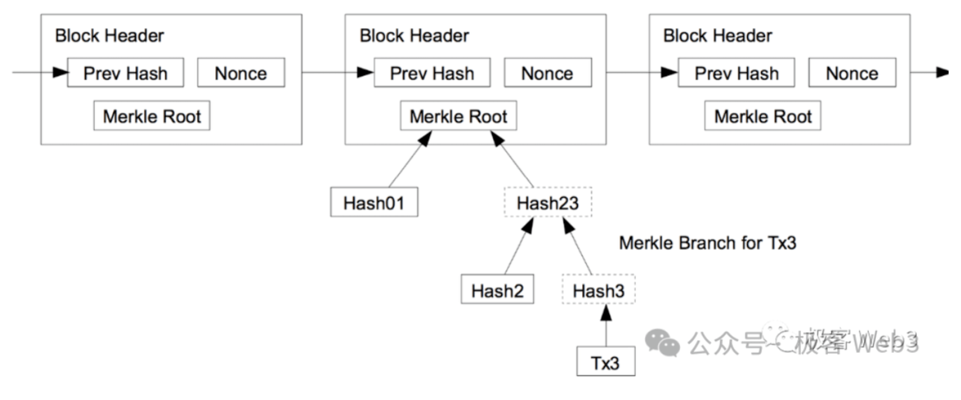 Merkle Proof/Branch与Root之间的关系