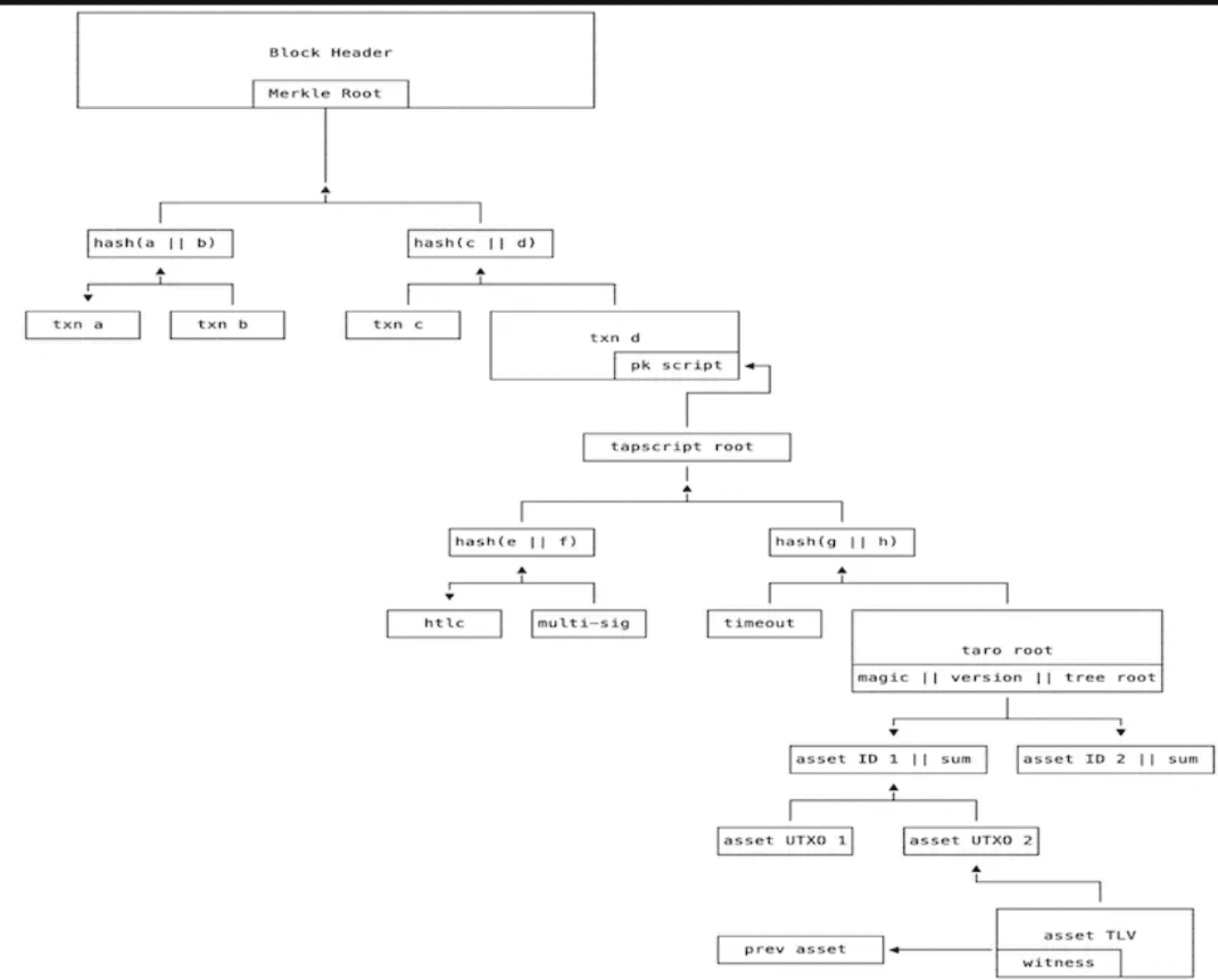 Taproot Assets编码结构